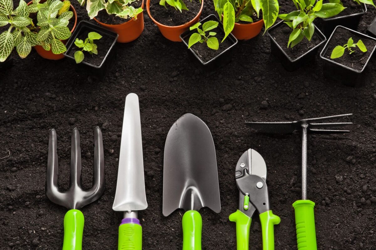 Read more about the article The Fantastic Benefits of Gardening