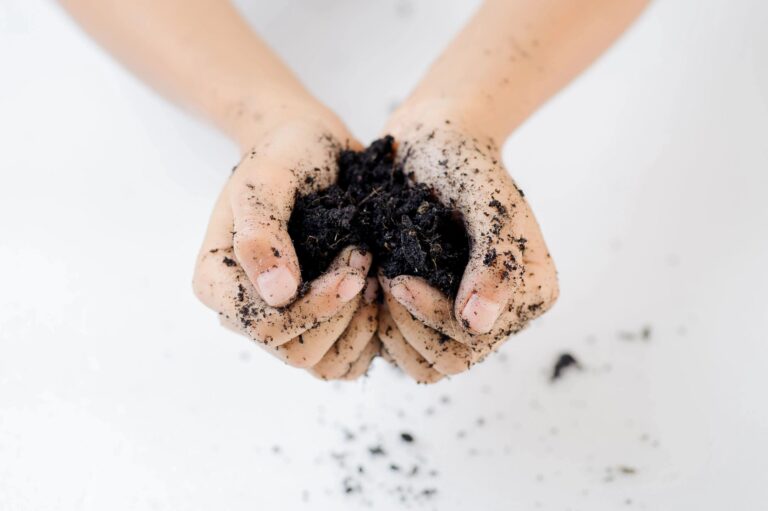 Read more about the article Choosing the Right Potting Soil