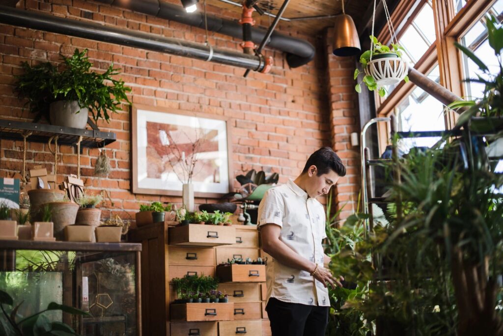 Taking Care of Indoor Plants