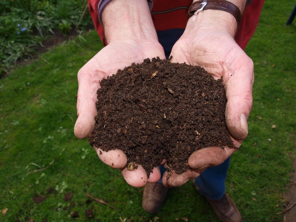 Compost Helps Gardens