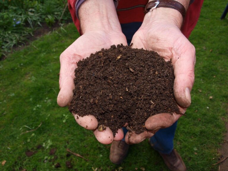 Read more about the article Benefits of Compost for Gardeners