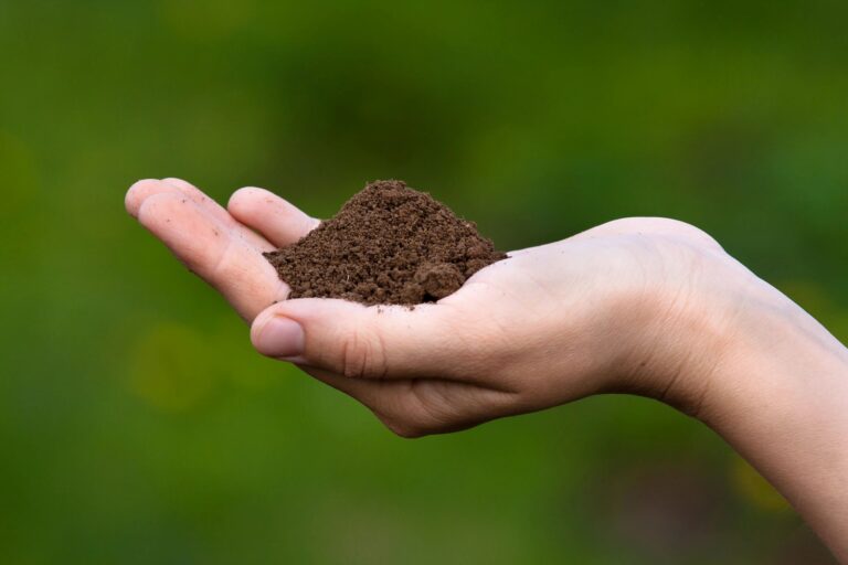 Read more about the article Clearing Up Some Confusion About Different Fertilizers