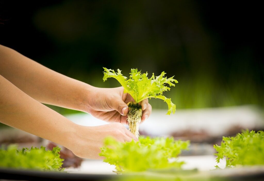 Unusual Gardening Techniques