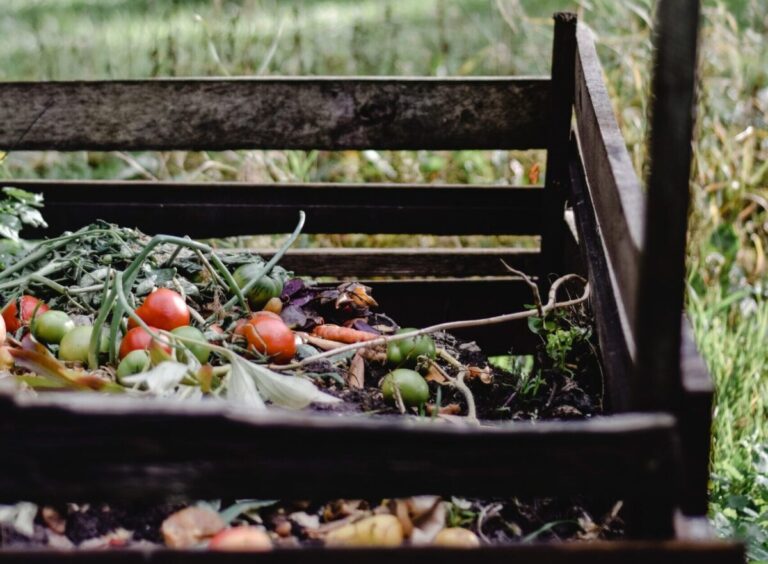Read more about the article How to Get Started Composting At Home
