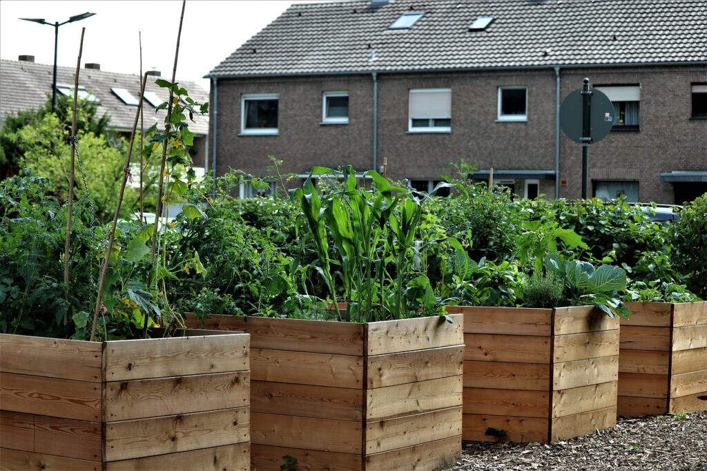 Container Garden