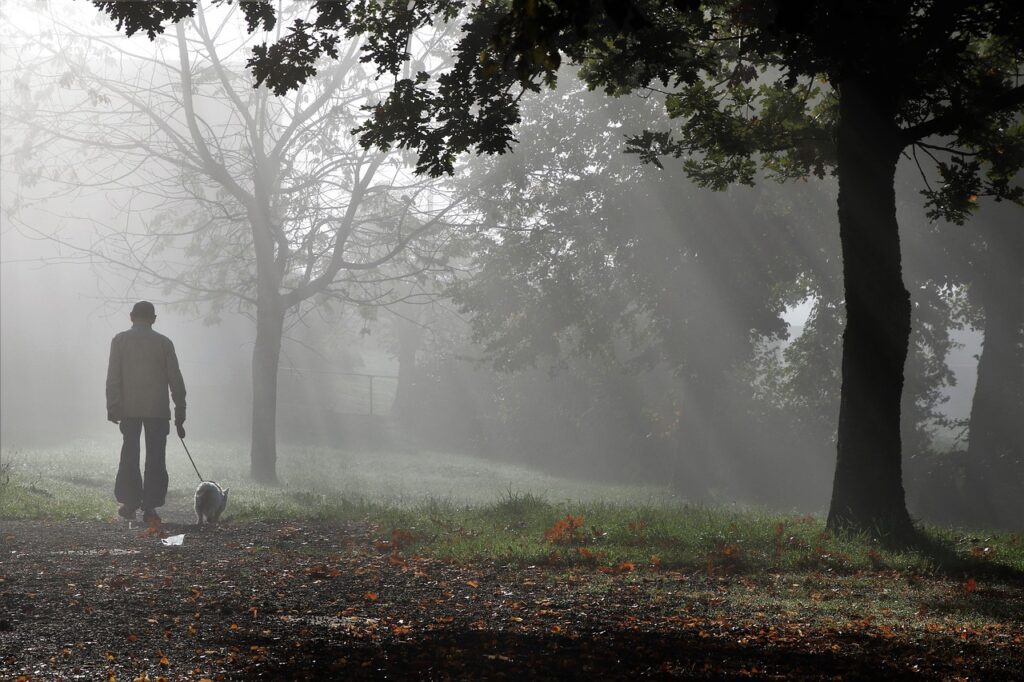 Elderly individual walking dog in fog; reduced household benefits lead to financial insecurity