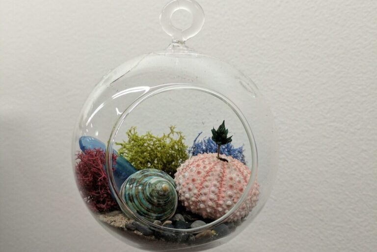 Read more about the article How To Garden Indoors: Create Your Own Terrarium
