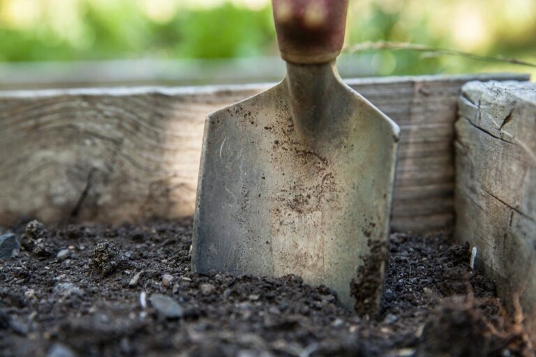 Read more about the article How to Start Getting Ready for Spring Gardening NOW