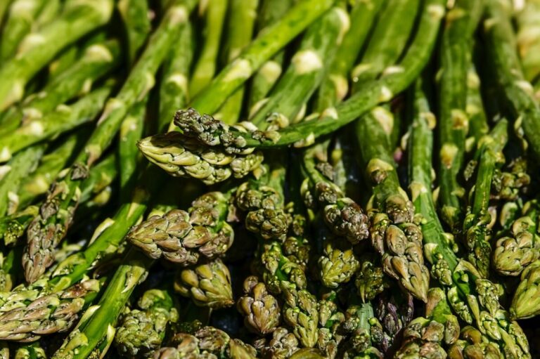Read more about the article How to Grow Your Own Asparagus