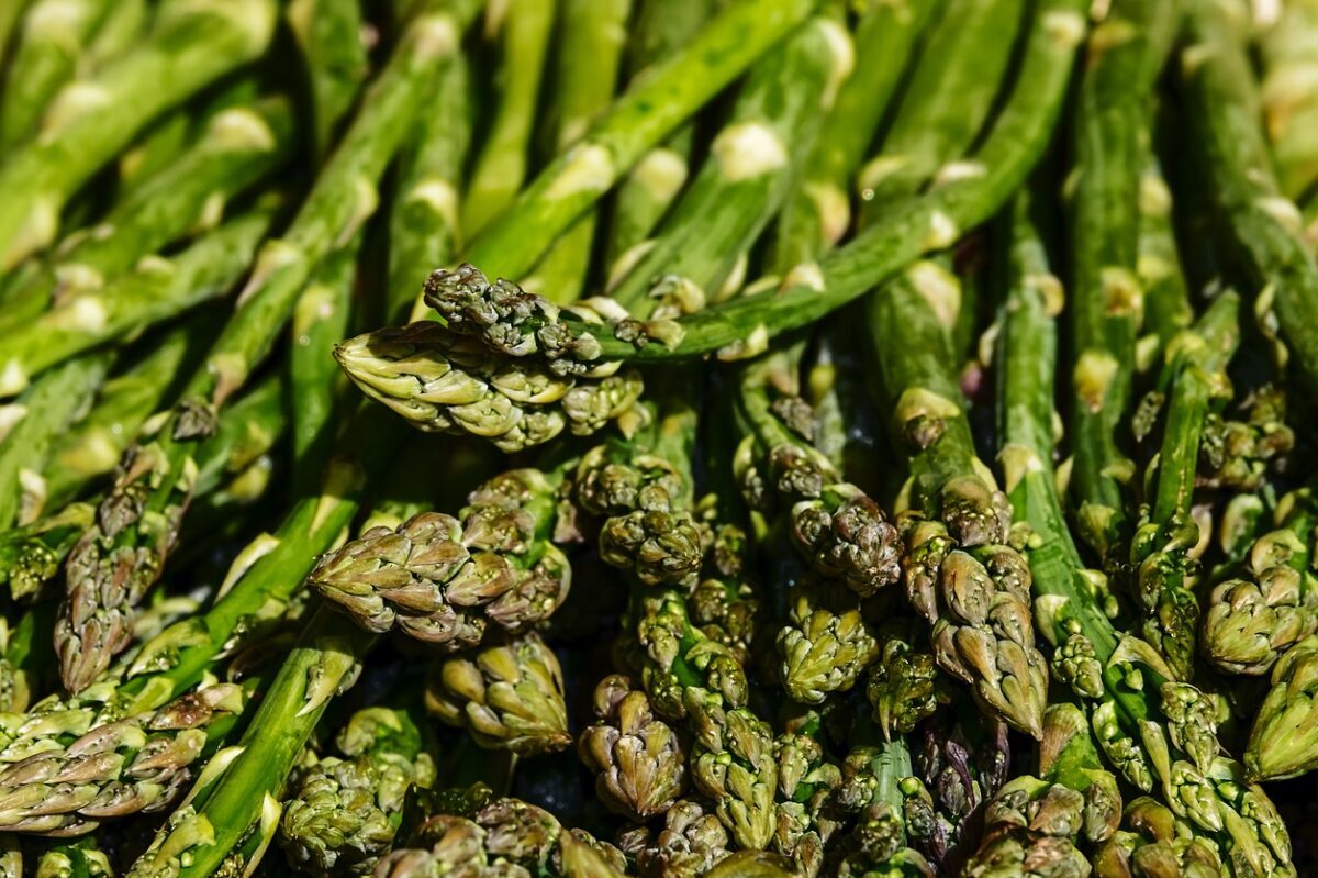Read more about the article How to Grow Your Own Asparagus