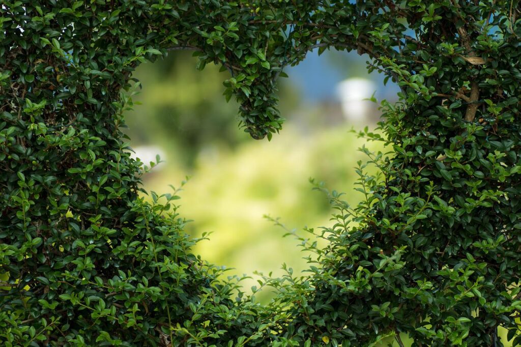 heart of leaves; therapeutic garden