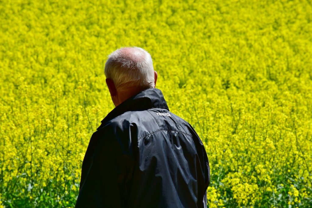 retiree looking out to field